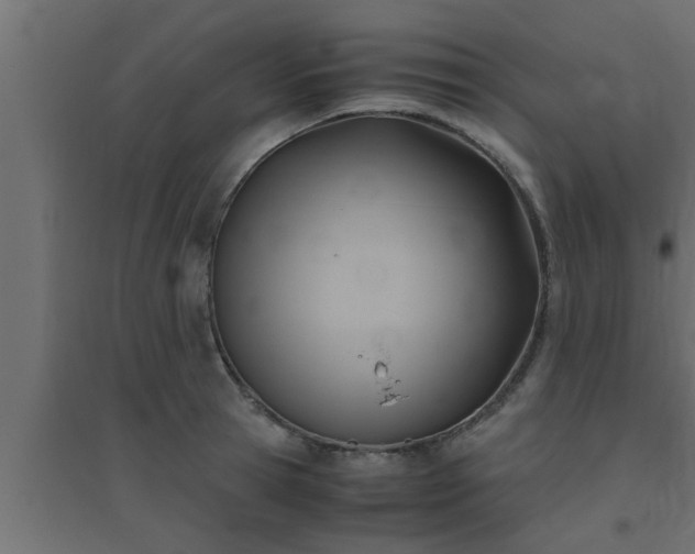 X0000094800945200711241421
