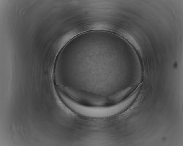 X0000094800946200711241421