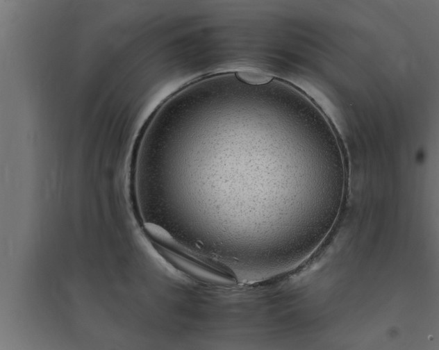 X0000094800949200711241421