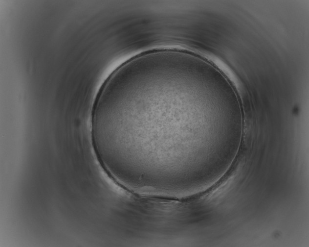 X0000094800951200711241421