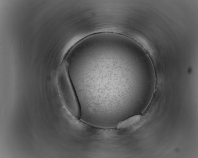 X0000094800952200711241421