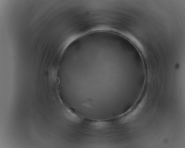 X0000094800953200711241421
