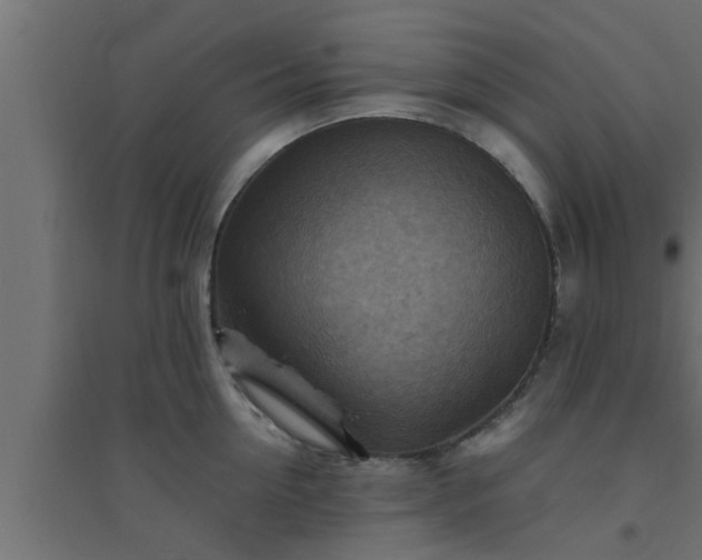 X0000094800954200711241421