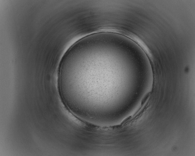 X0000094800955200711241421