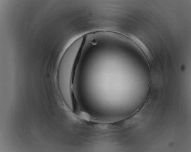 X0000094800956200711241421