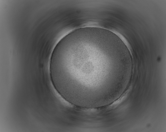 X0000094800957200711241421