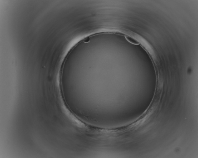 X0000094800958200711241421
