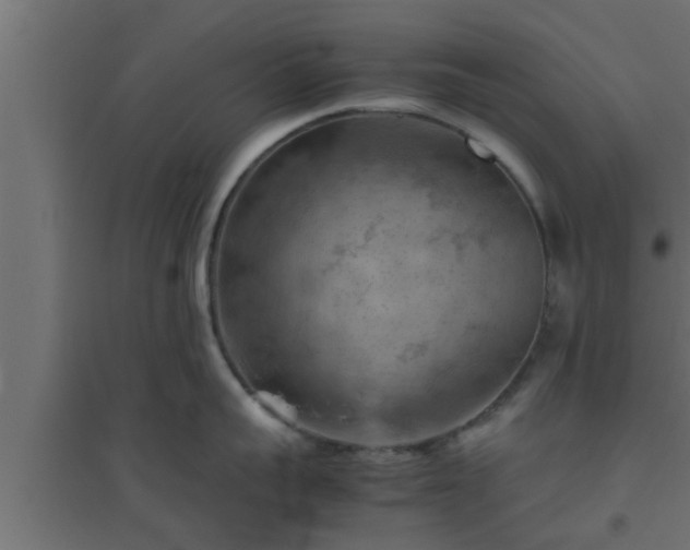 X0000094800959200711241421