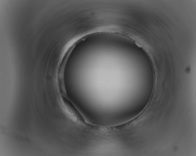 X0000094800960200711241421