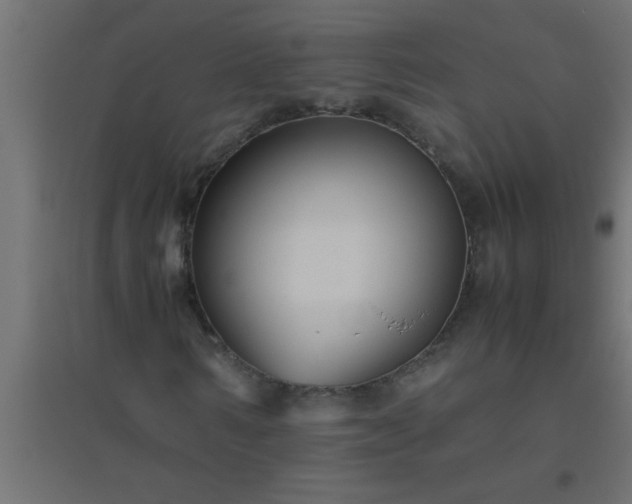 X0000094800962200711241420