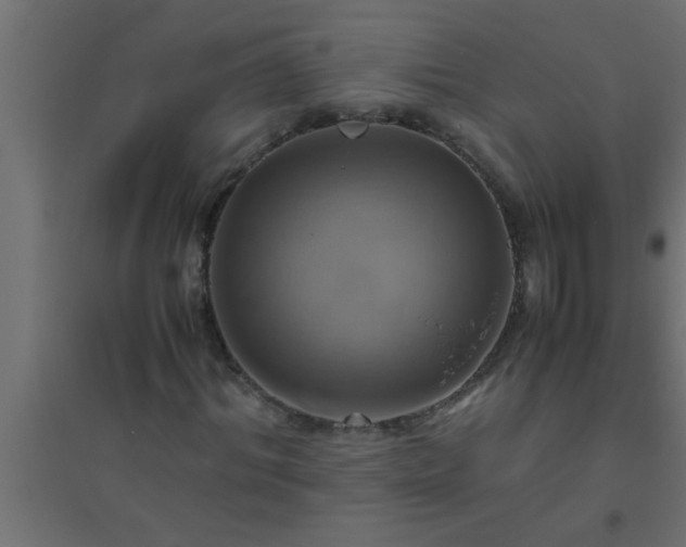 X0000094800964200711241420