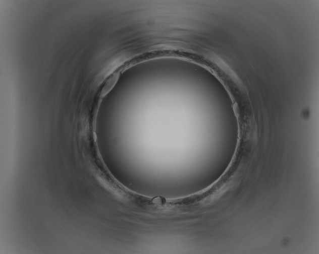 X0000094800969200711241420