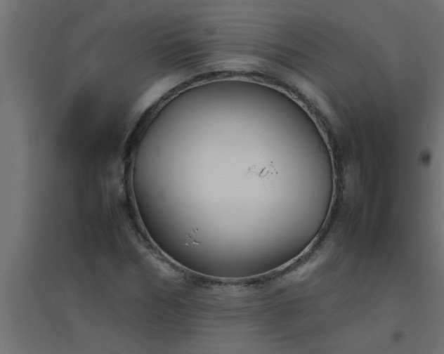 X0000094800970200711241420