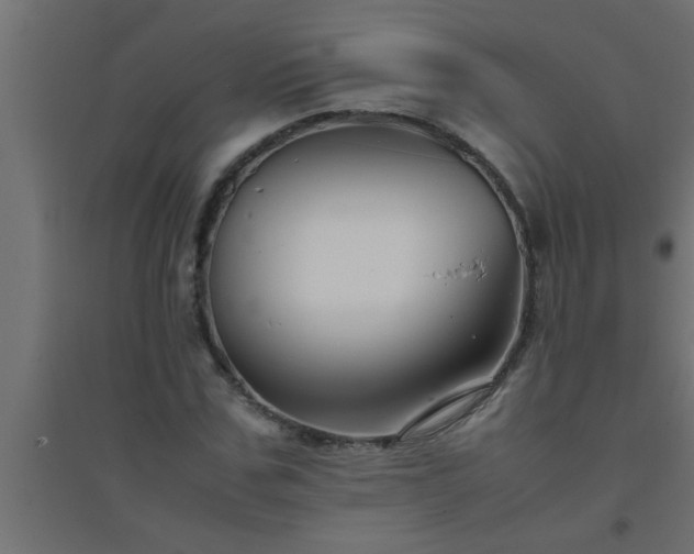 X0000094800971200711241420