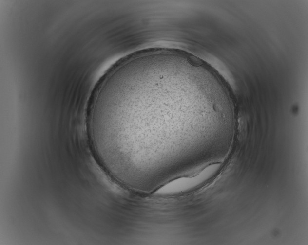 X0000094800972200711241420