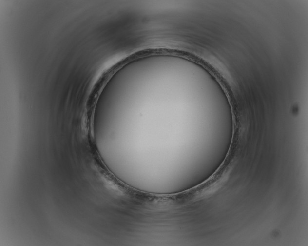 X0000094800974200711241420
