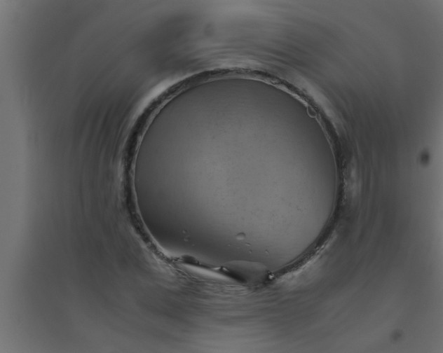 X0000094800975200711241420