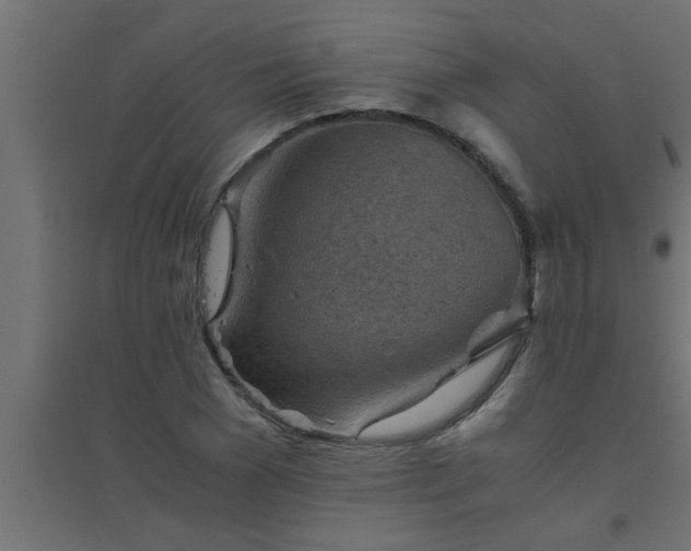 X0000094800977200711241420