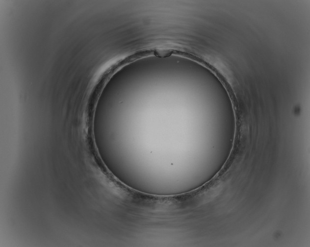 X0000094800979200711241420