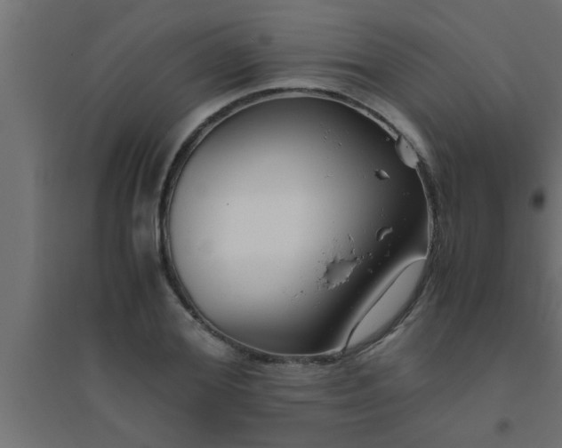 X0000094800980200711241420