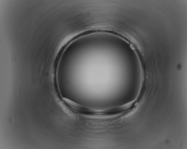 X0000094800981200711241420