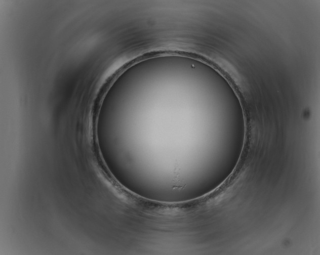 X0000094800982200711241420