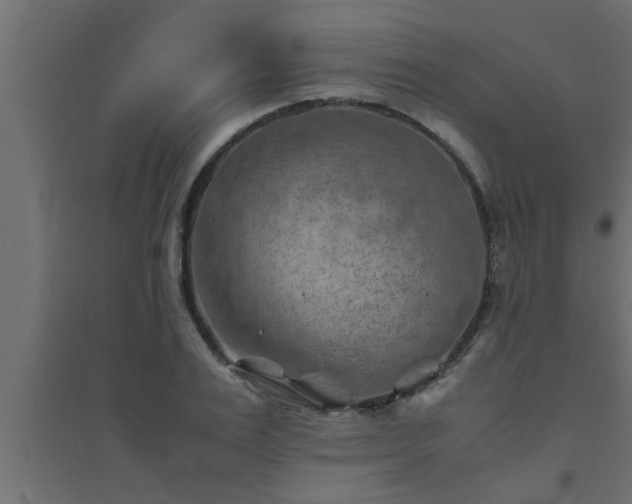 X0000094800983200711241420