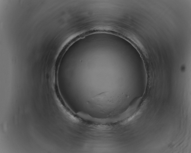X0000094800984200711241420