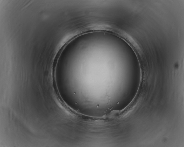 X0000094800986200711241420