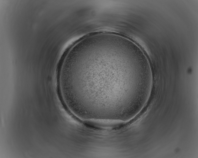 X0000094800987200711241420
