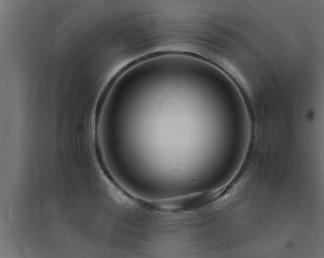 X0000094800988200711241420