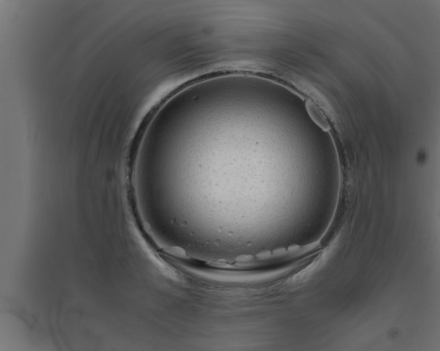 X0000094800989200711241420