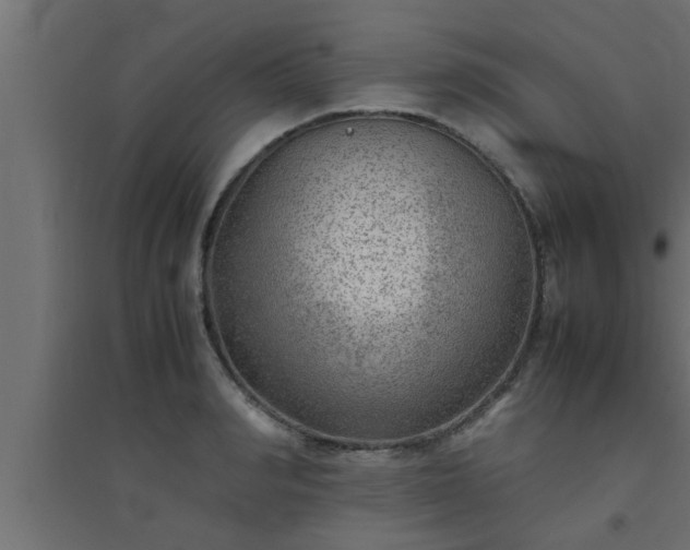 X0000094800990200711241420