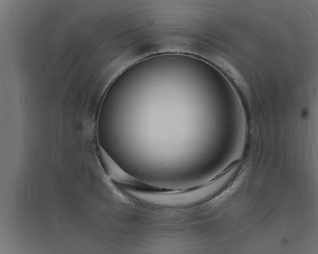 X0000094800993200711241420