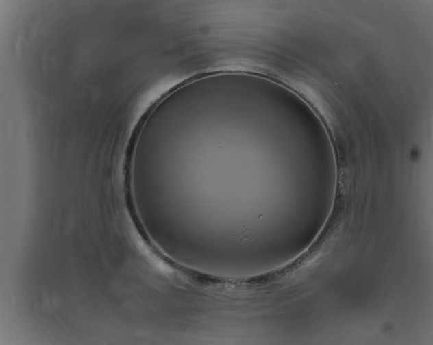 X0000094800995200711241420