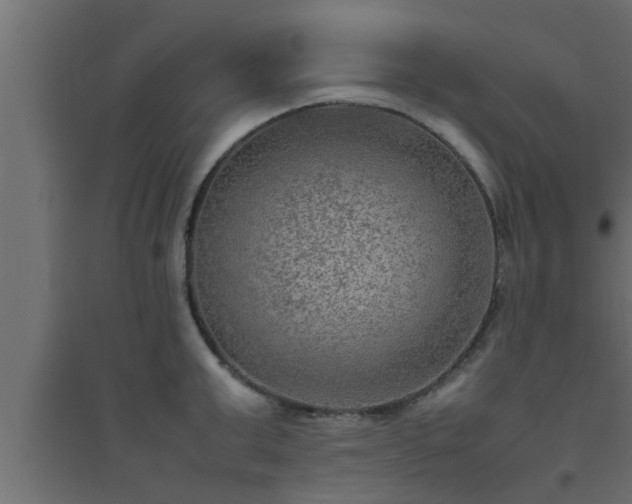 X0000094800999200711241420
