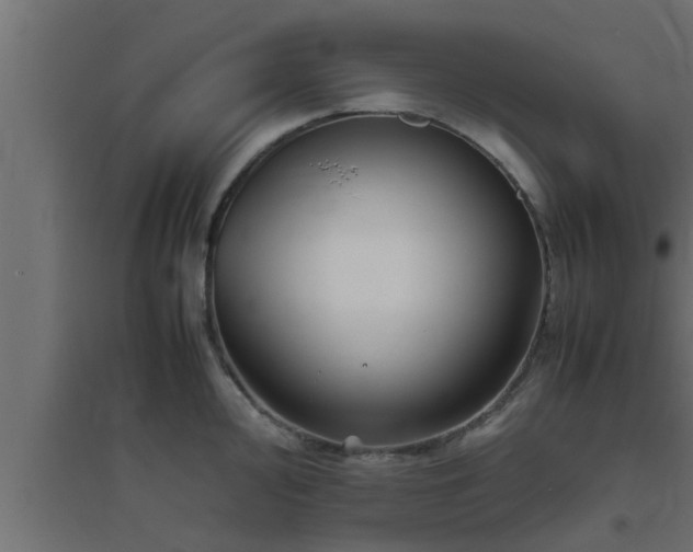 X0000094801000200711241420