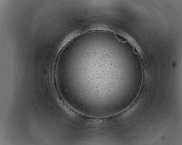 X0000094801002200711241420