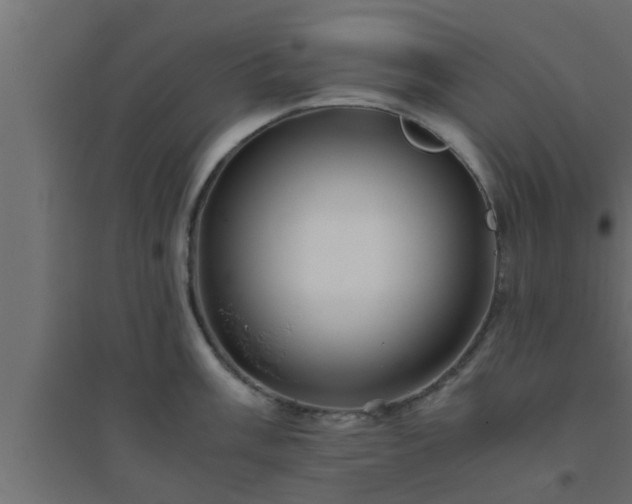 X0000094801003200711241420