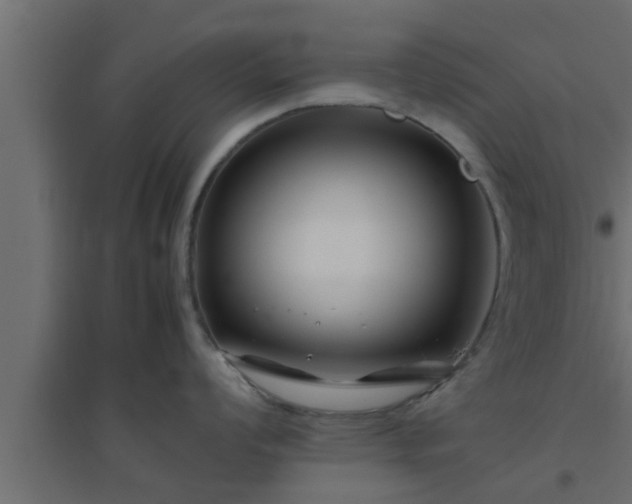 X0000094801008200711241420