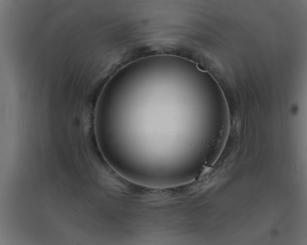 X0000094801012200711241419