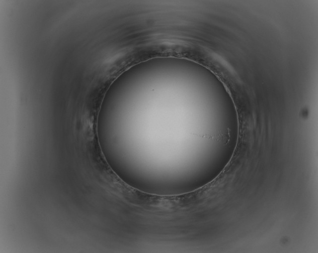 X0000094801013200711241419