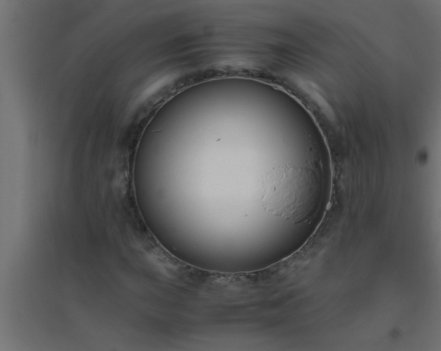 X0000094801015200711241419