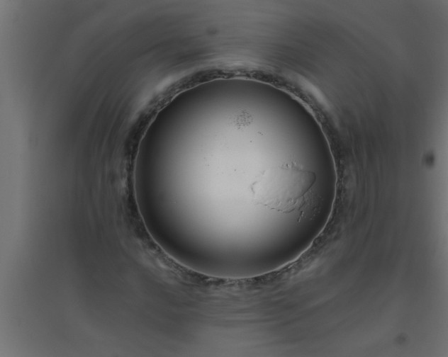 X0000094801016200711241419