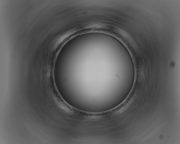 X0000094801017200711241419