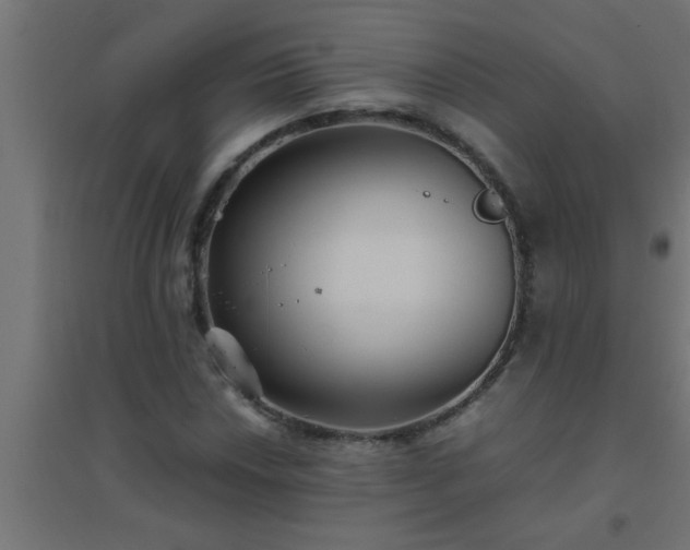 X0000094801018200711241419