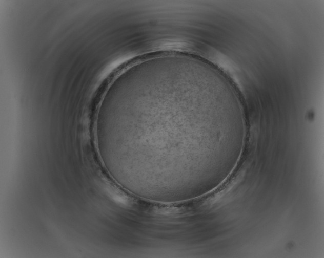 X0000094801019200711241419