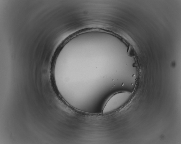 X0000094801020200711241419