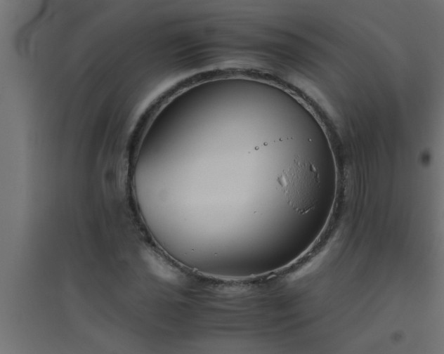 X0000094801021200711241419