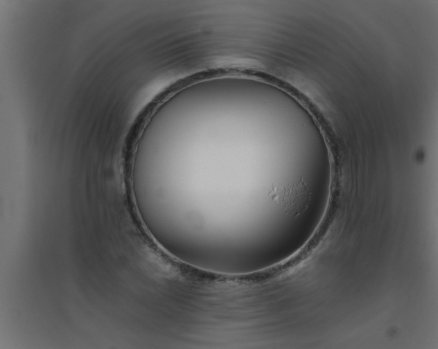 X0000094801022200711241419